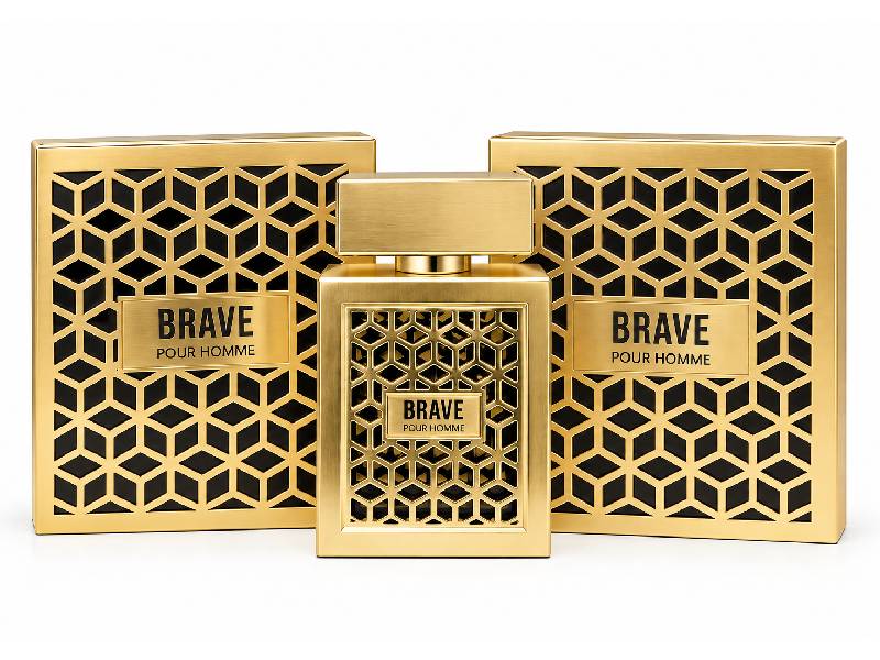 Brave Pour Homme Eau De Parfum 100ml | Five Fifty 550